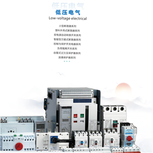 TAS-DYCP低压类框架和塑壳断路器和双电源及保护开关